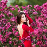 Flowering trees Brown haired Human back Glance 528797 600x400