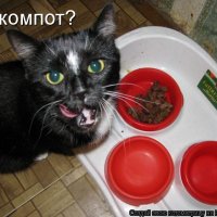 А компот?