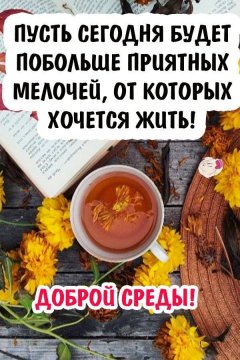 Доброй среды!