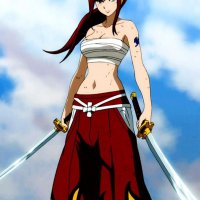 b692206746e08c391dff54c8a7991168--erza-scarlet-anime-fairy