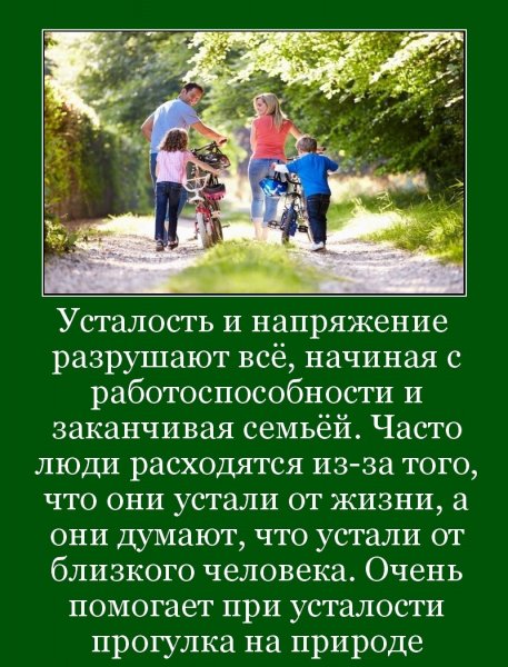 Прогулки на природе