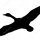 depositphotos 6603151-vector-silhouette-flying-ducks-on-white