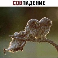 Совпадение