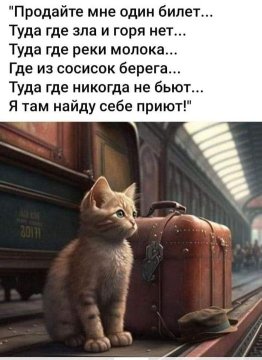 КотЭ)