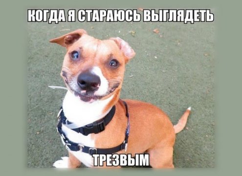 Где-то так... ))