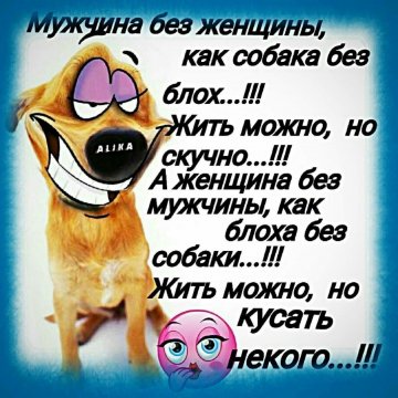 Funny-klev-club-ylje-p-smeshnie-statusi-dlya-vsekh-v-kartink