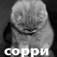 сорри