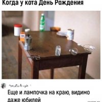 ДР у кота