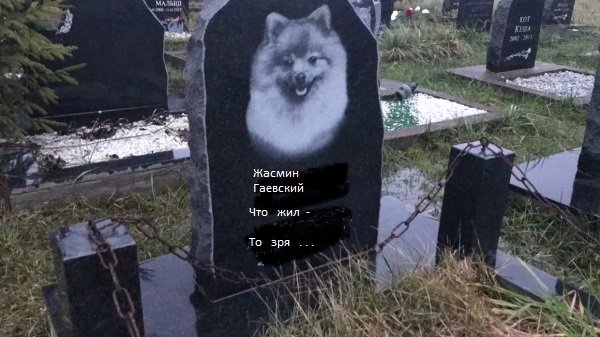 Бобик RIP