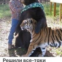 Кот Потапыча