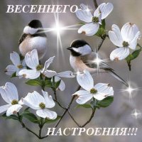 весеннего настроения