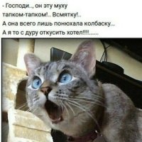 Кусь