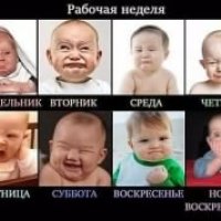 Рабочая неделя