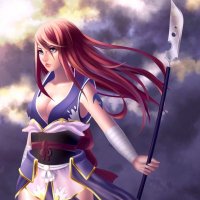 ecc8eaf011d9878b19a77001b--erza-scarlet-fairytail