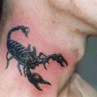 tag tattoos scorpion neck-e1309956013814