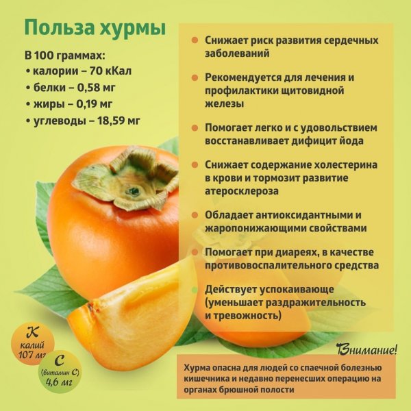 Польза хурмы