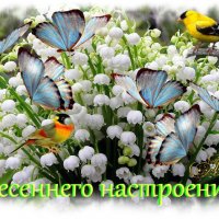 весеннего настроения