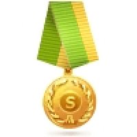 gift large medal