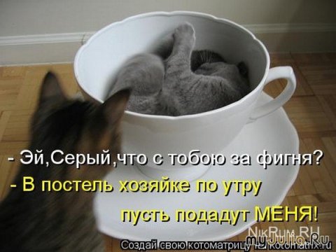 Подадут меня!