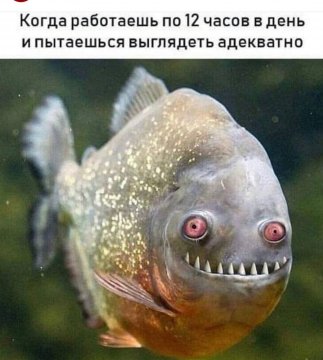 Выглядеть