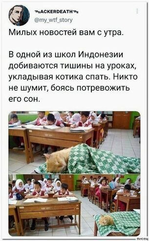 КотЭ)