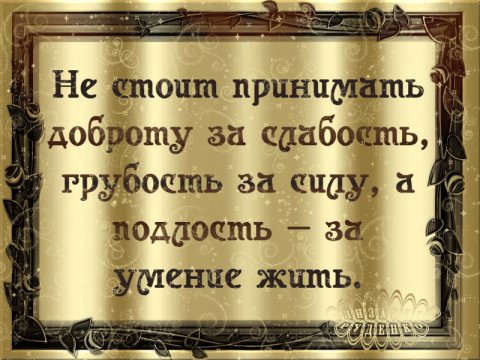 image(173)