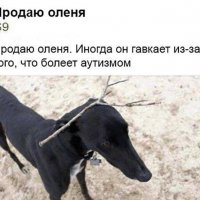 Олень