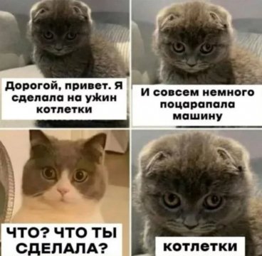 Котлетки