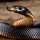 Snakes Closeup Red-bellied black snake Tongue 530003 2560x160