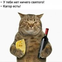 Настоящий Котофеичь