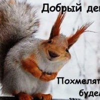 приколы 155630