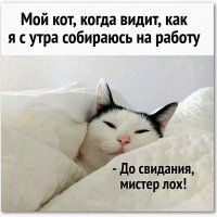 КотЭ)