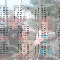 PhotoLab app Transparent Calendar