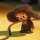 28972489 cheburashka